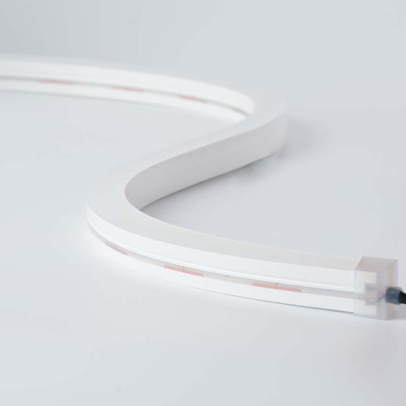 Tira de neón LED de silicona 2020